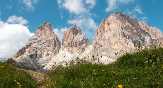 three mountain summits in the dolomites with grass and wildflowers flowers below