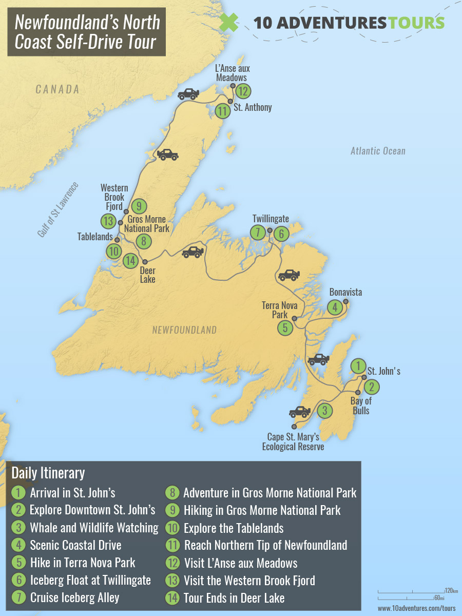 Newfoundland’s North Coast Self-Drive Tour