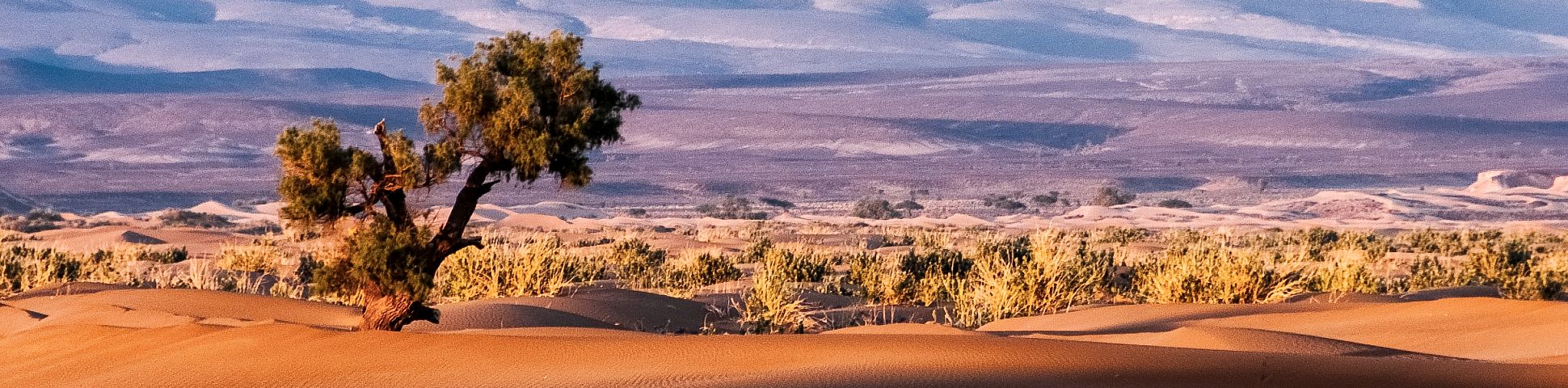 Sahara Desert in Morocco