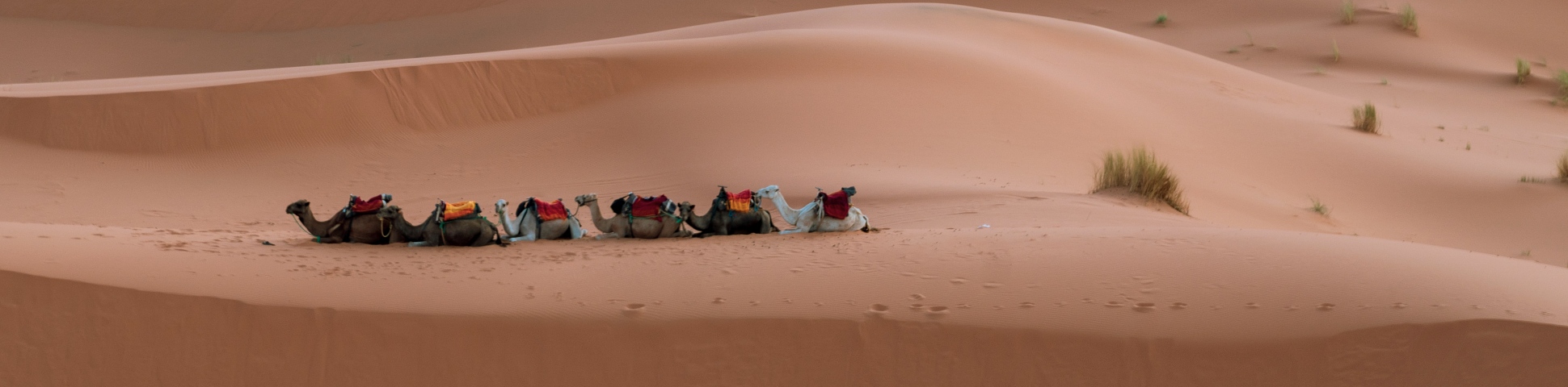 Erg Chigaga in Morocco