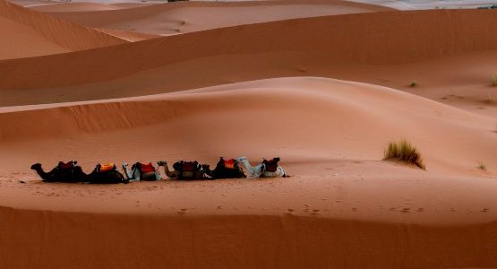 Erg Chigaga (Morocco)