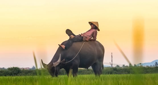 Panoramic view from Vietnam Ultimate Adventure Tour