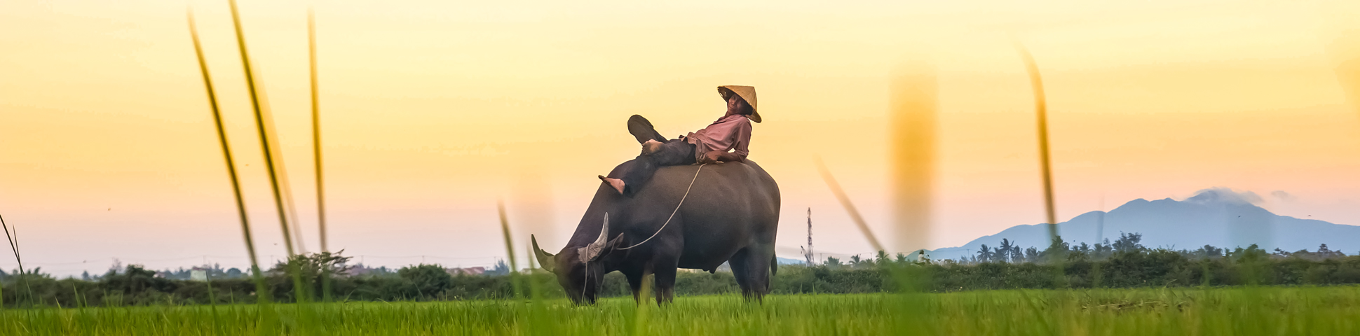 Panoramic view from Vietnam Ultimate Adventure Tour