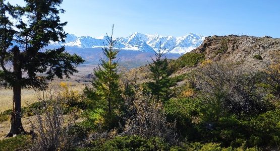 Altai Mountains in Russia