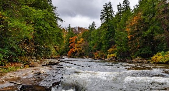Autumn colors in Maryland (USA)