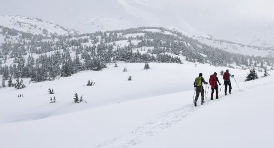 Skiing in backcountry