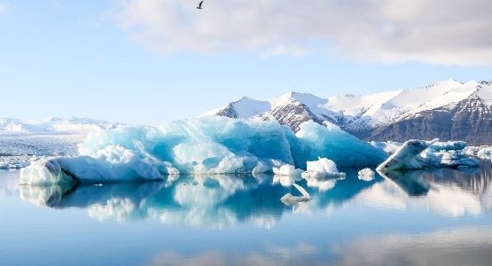 Beautiful icy shores of Iceland