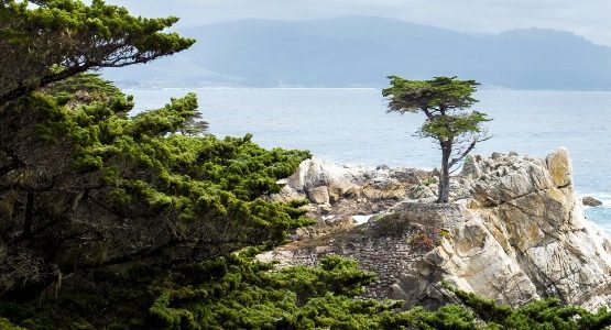 Beautiful bay view along the coast of California