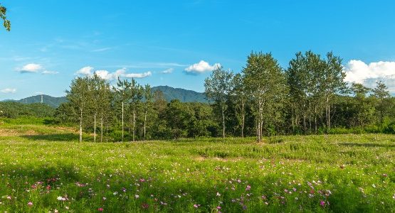 Gangwon-do in South Korea