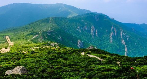 Green hills in Yeongnam (South Korea)