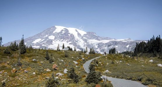 Hiking path near Mt Rainier (Washington, USA)
