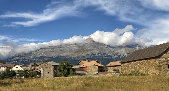 Pastures in Aragon (Spain)