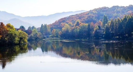 Reflections in the lake (Gyeonggi-do, South Korea)