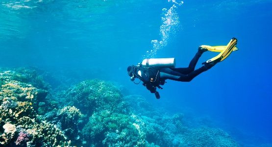 Scuba diving tours