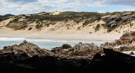 Beautiful beach at Western Cape (South Africa)