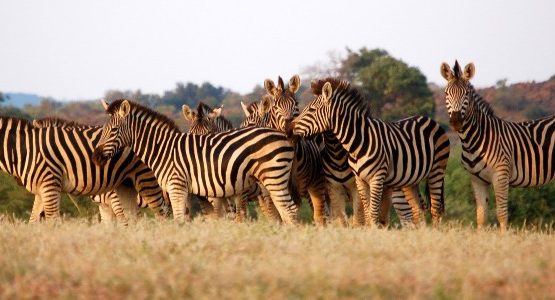 Botswana