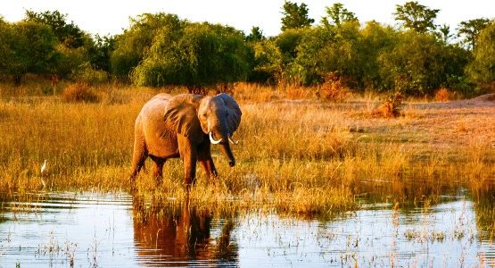 Zimbabwe
