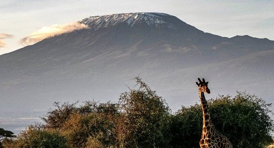 Kilimanjaro (Tanzania)