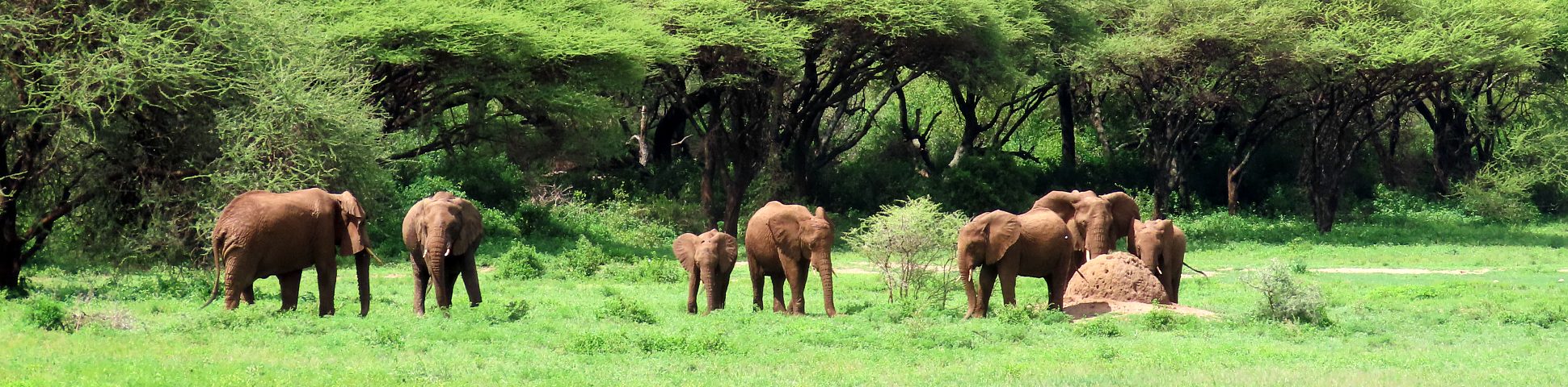 Ngorongoro in Tanzania
