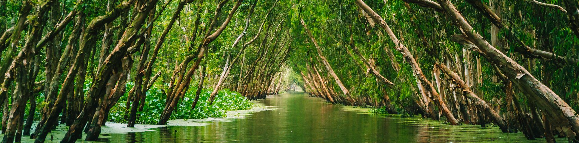 Mekong Delta in Vietnam