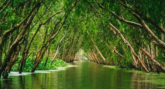 Mekong Delta (Vietnam)