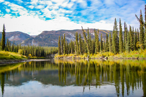 The Klondiker Paddling the Big Salmon River Tour teaser