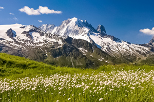 Tour du Mont Blanc (7days) teaser