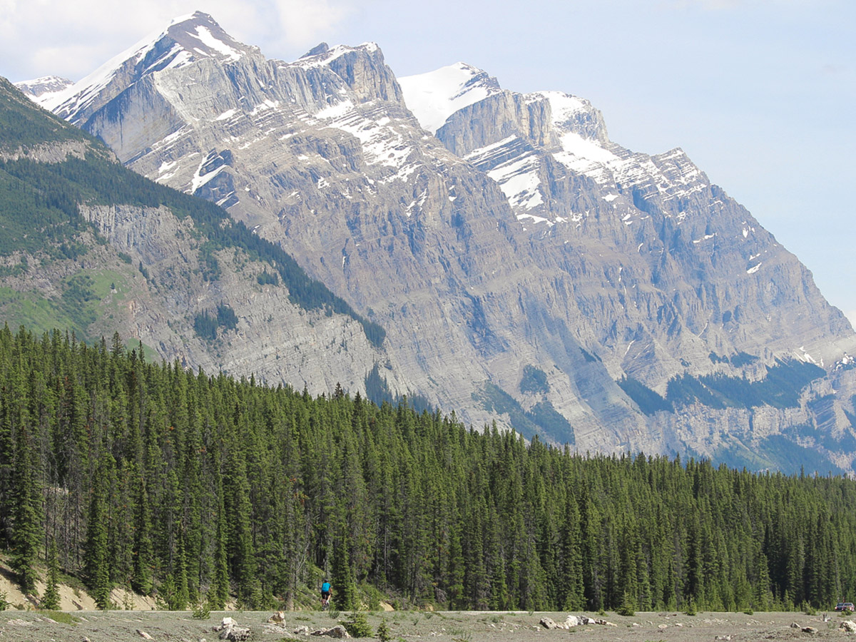 Lone biker on guided cycling tour from Jasper to Banff in Canada