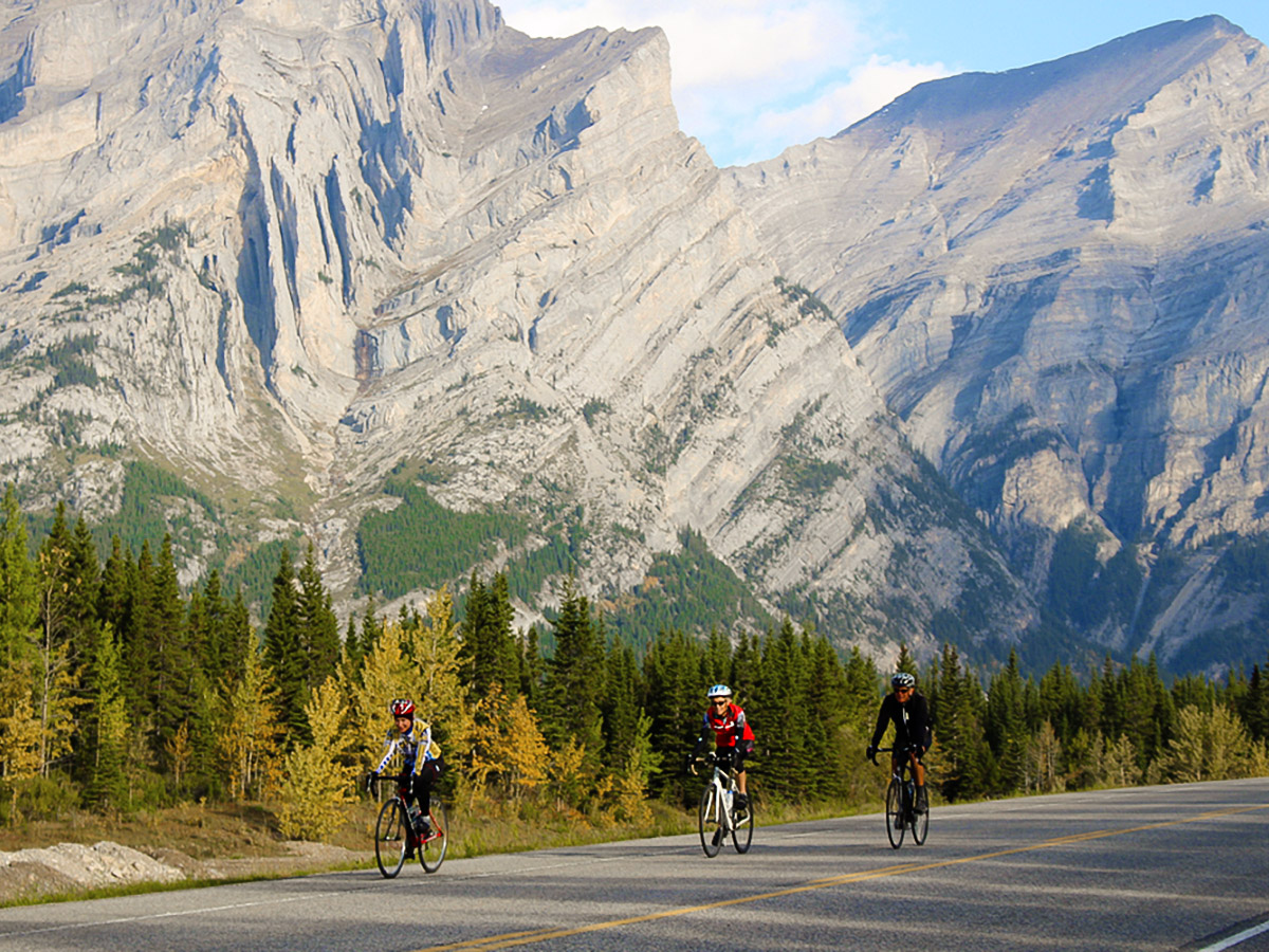 Bikers going towards Banff on guided cycling tour from Jasper to Banff in Canada