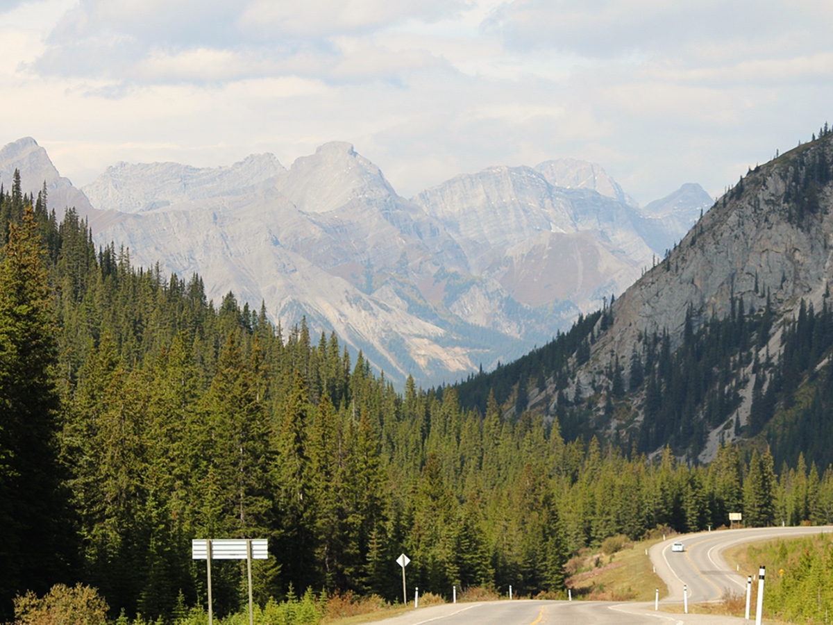 Trail towards Banff on guided cycling tour from Jasper to Banff in Canada