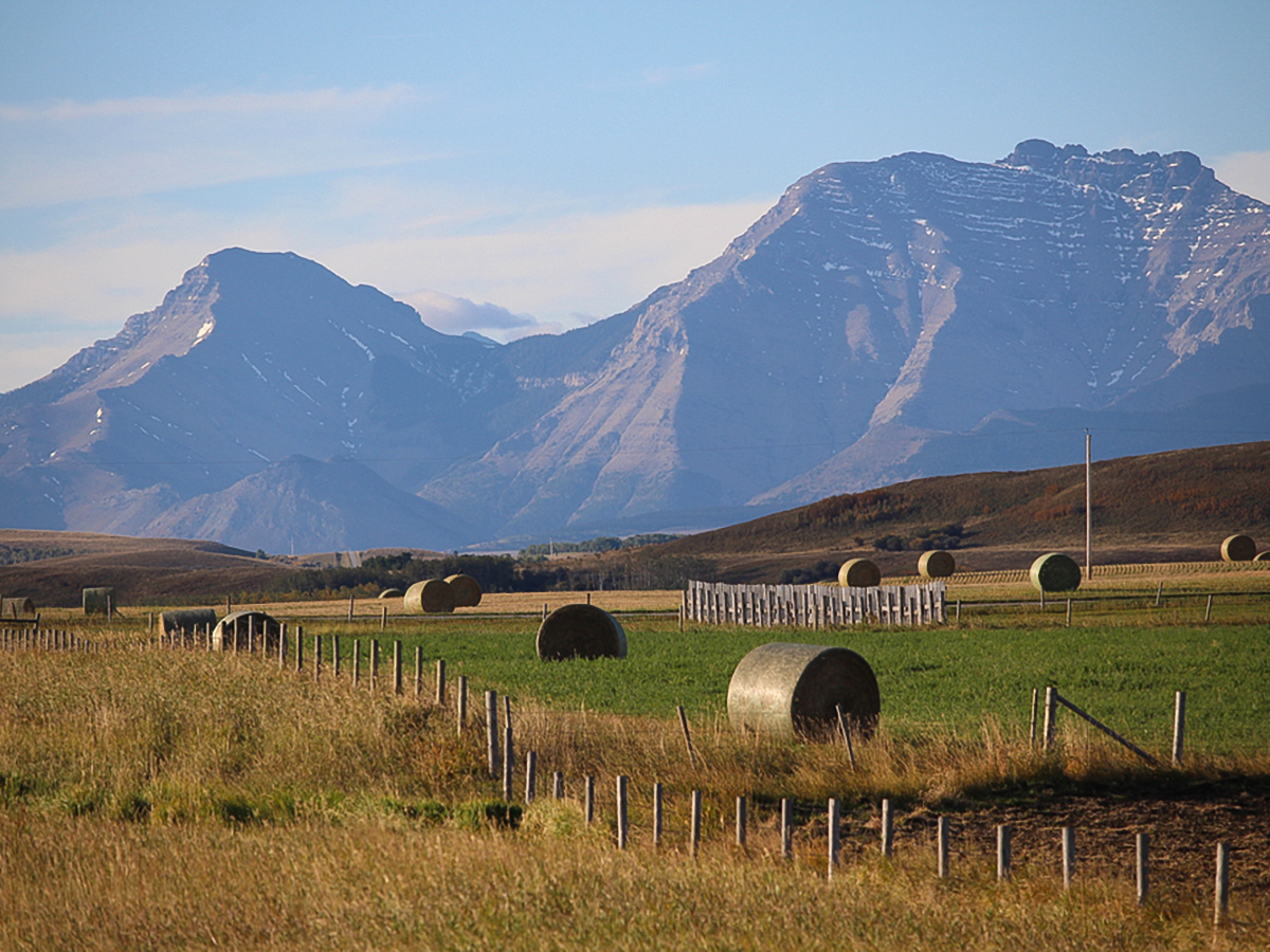 Canadian countryside views on guided cycling tour from Jasper to Banff in Canada