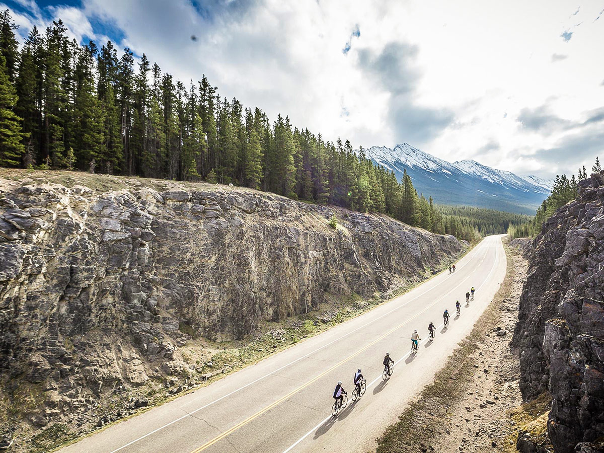 Group of bikers on Icefields Parkway on guided cycling tour from Jasper to Banff in Canada