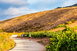 Complete Camino Frances tour teaser