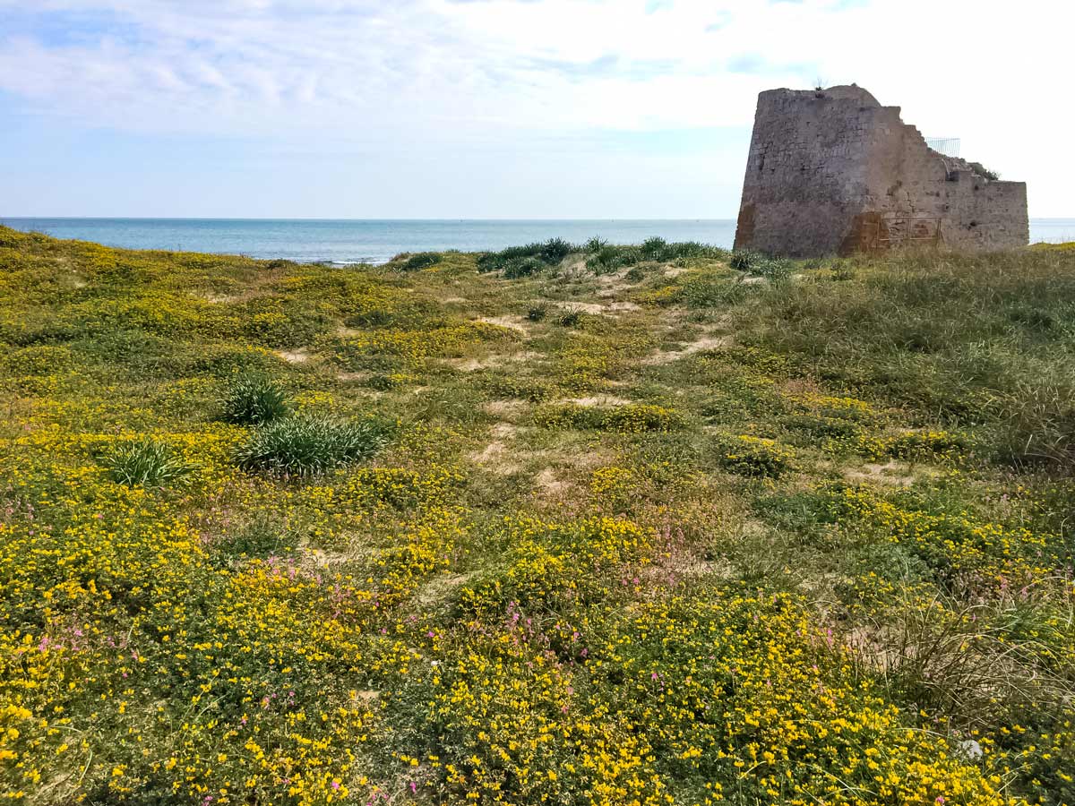 Coastal Tower in Puglia, Italy