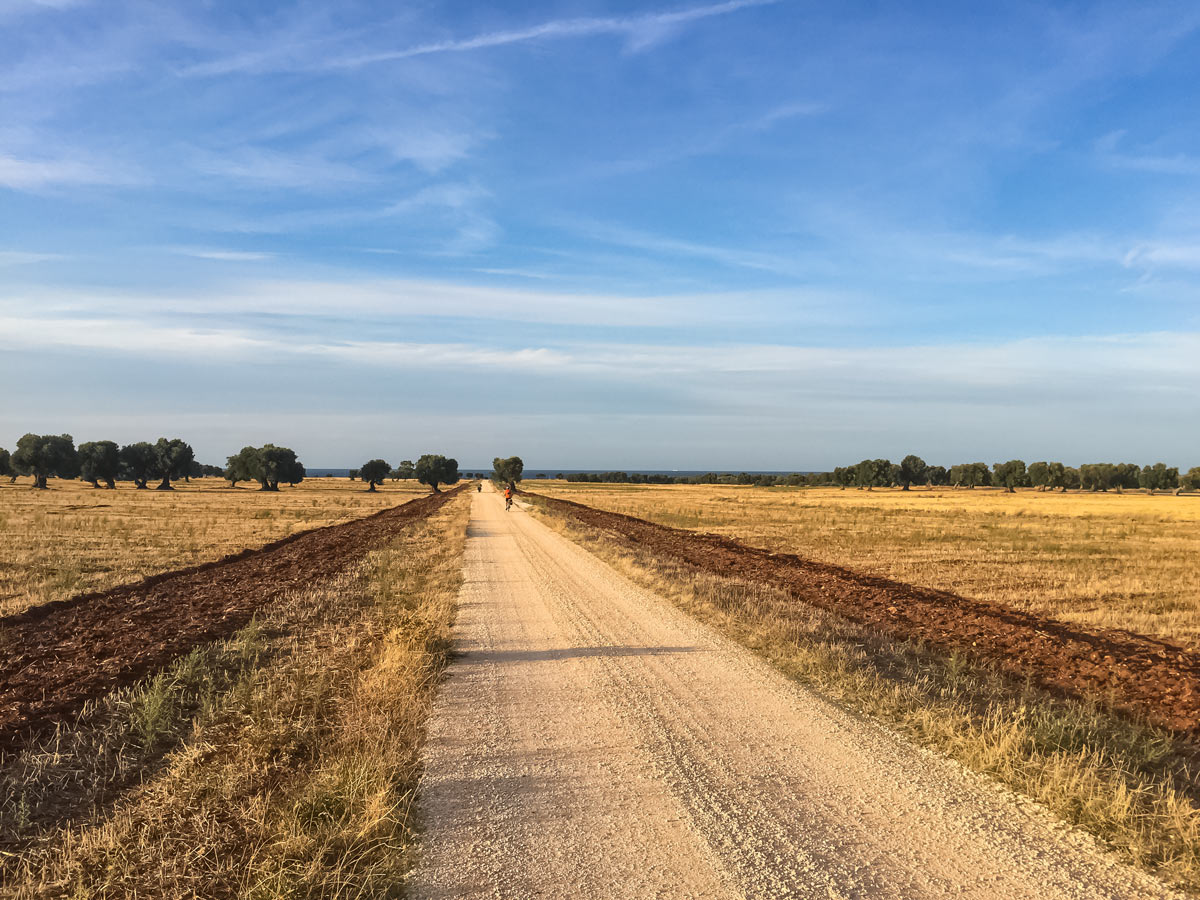 Cycling down country road bike tour Puglia Italy