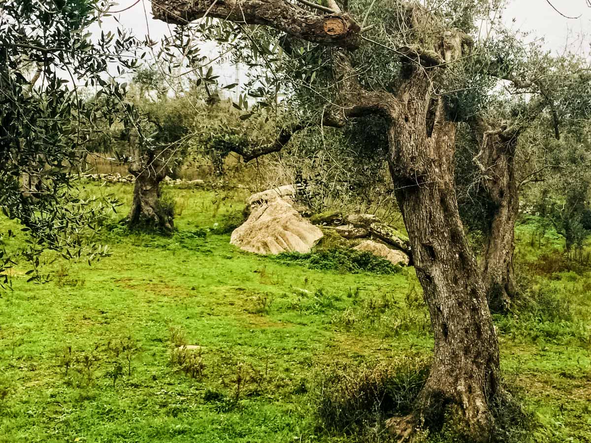 Megaliths along bike tour Puglia Italy