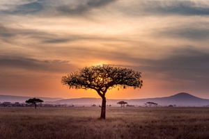 Kilimanjaro Cycling Tour teaser