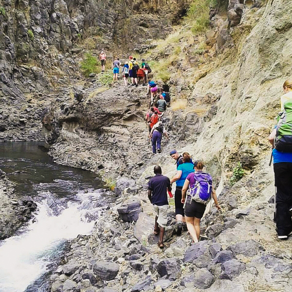 Group of hikers trekking on guided Kilimanjaro trek on Machame Route in Tanzania