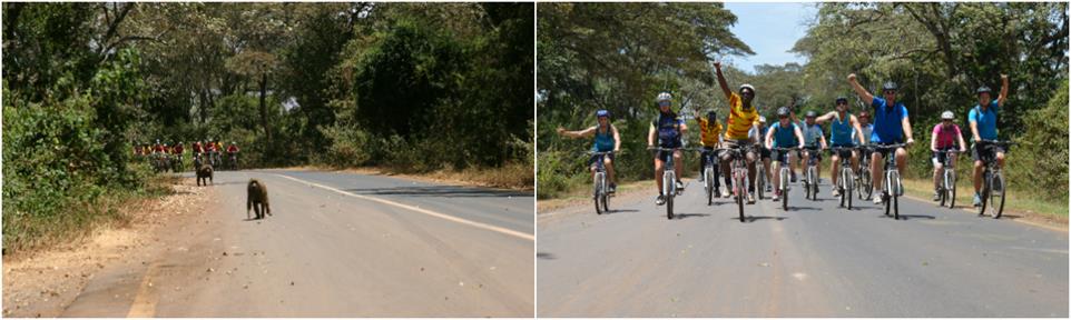 Group of bikers on guided Kilimanjaro to Ngorongoro Cycling Tour