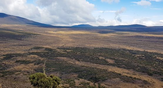 Trekking from Shira to Barranco on Kilimanjaro trek on Lemosho Route in Tanzania