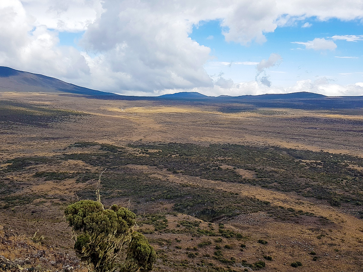 Looking over the wastelands on guided Kilimanjaro trek on Lemosho Route in Tanzania