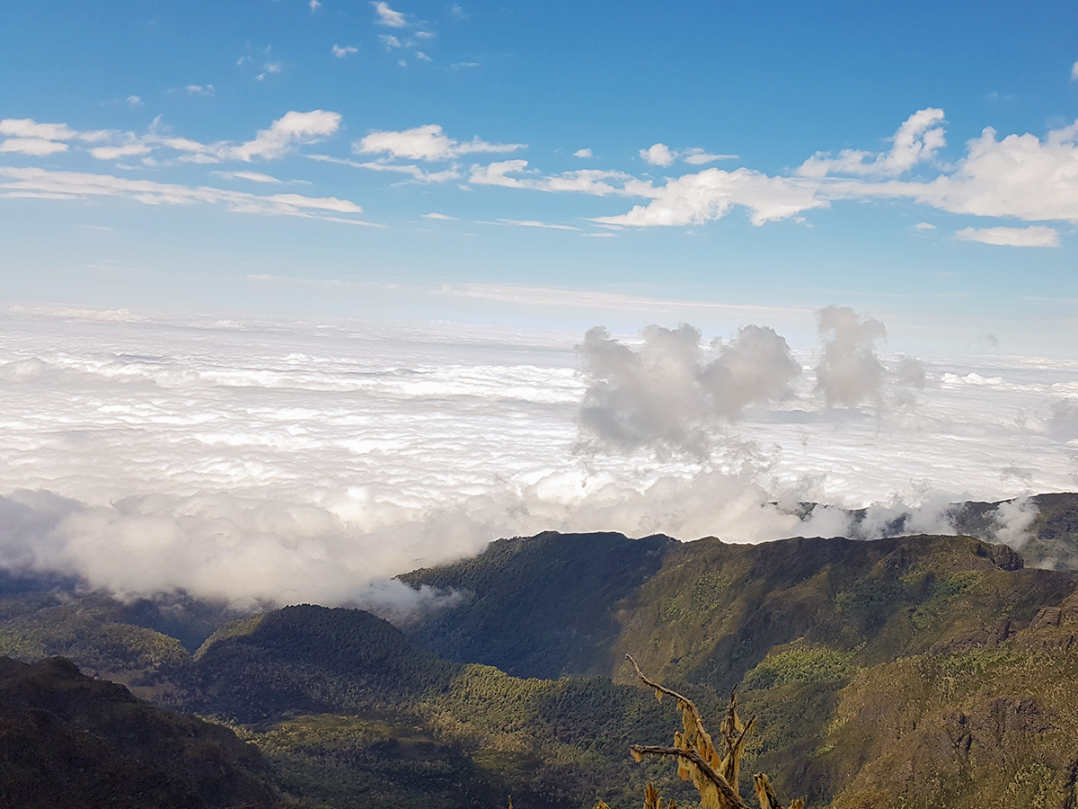 Looking over the clouds on Kilimanjaro trek on Lemosho Route in Tanzania