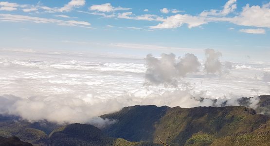 Looking above the clouds on guided Kilimanjaro trek on Lemosho Route in Tanzania