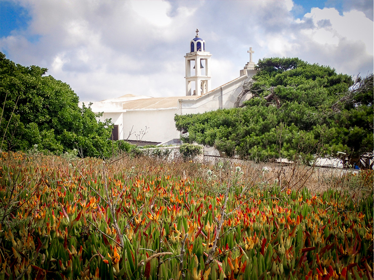 Spring flora on Authentic Greek Islands hiking tour on Andros & Tinos