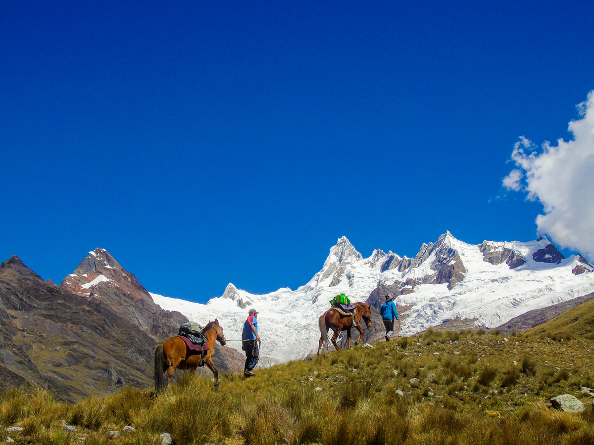 Horses carrying gear on Alpamayo to Pomabamba trek in Peru