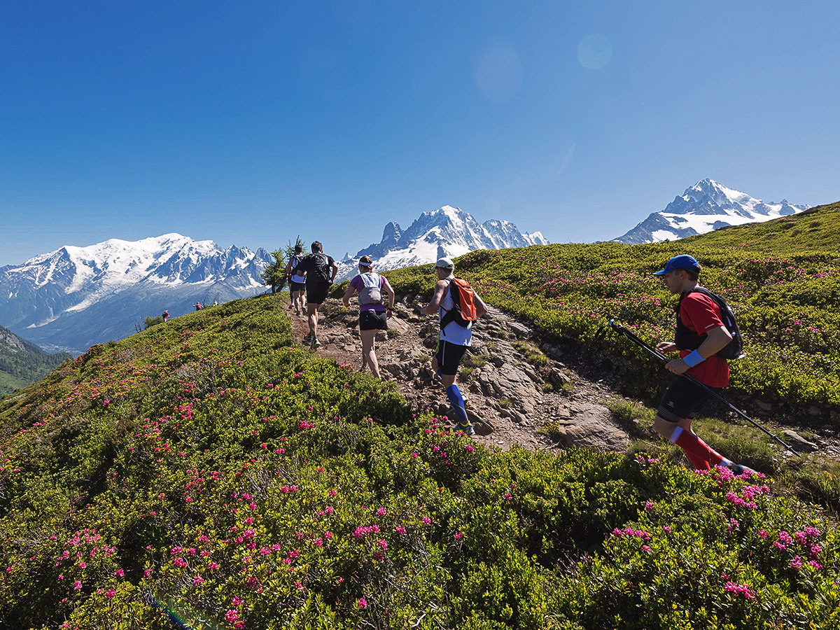 Group of hikers on Tour de Mont Blanc in French Alps