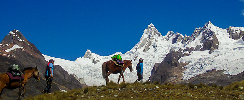 Horses on Alpamayo trek in Cordillera Blanca, Peru