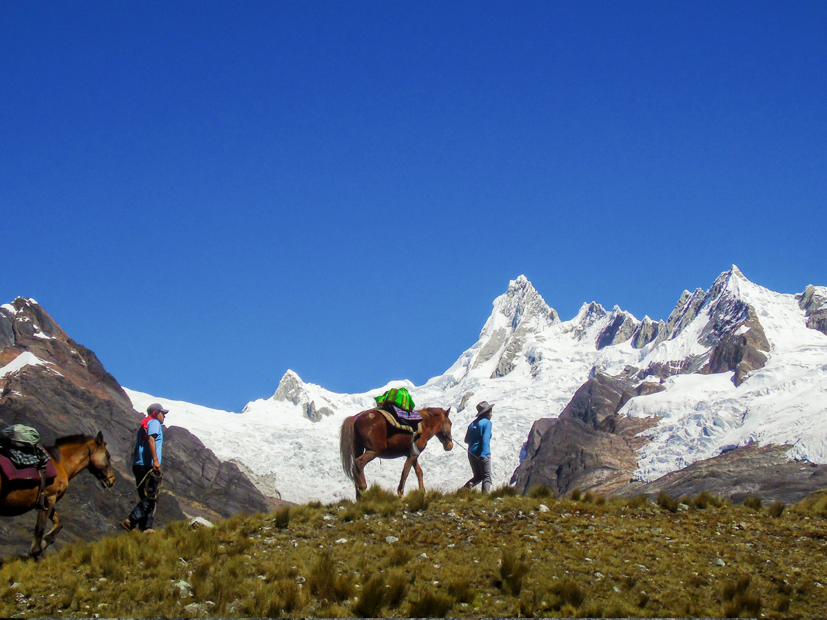 Horses carrying loads on Alpamayo trek in Cordillera Blanca, Peru