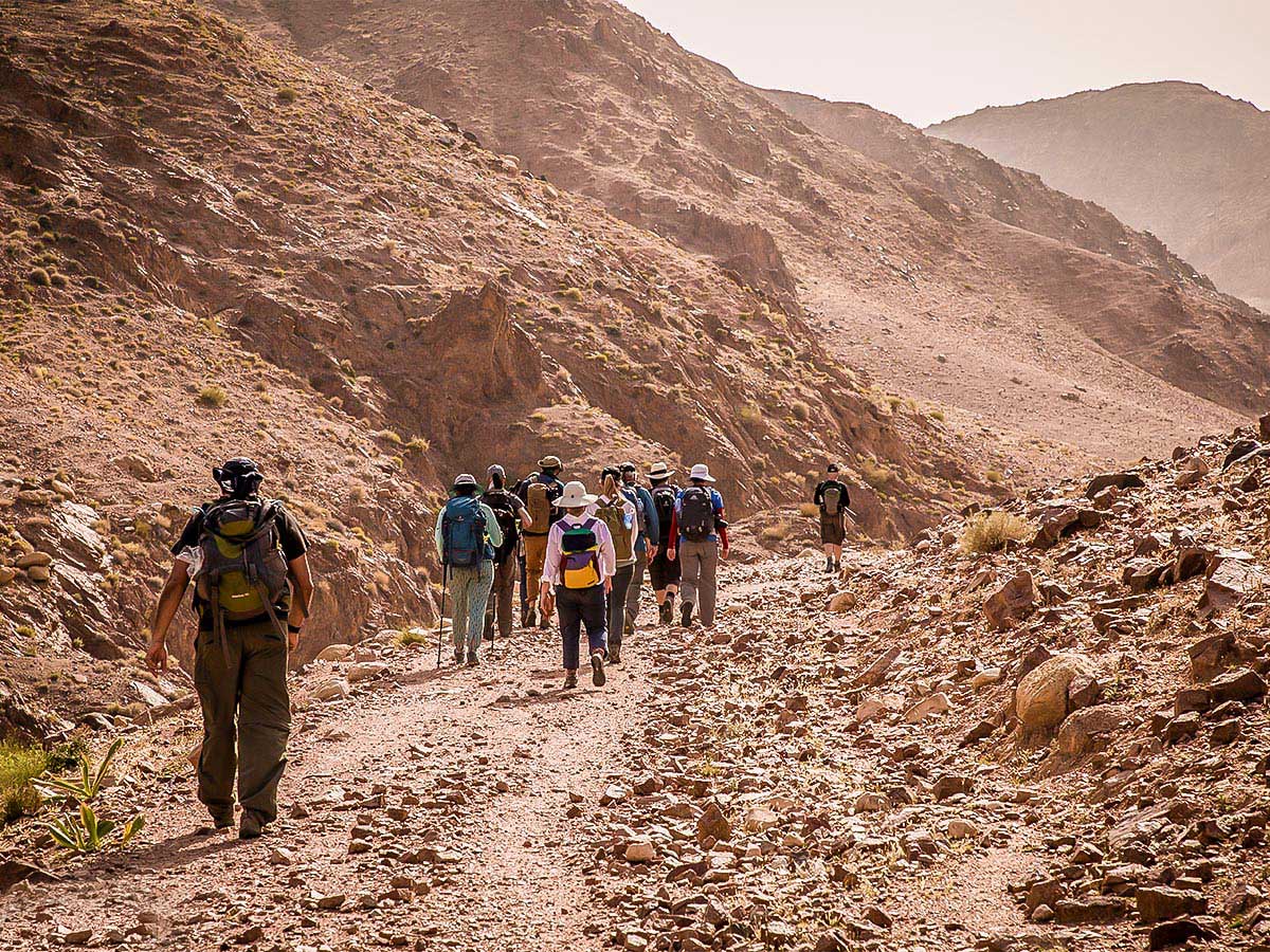 Group hiking on a trail of Dana to Petra Trekking Tour in Jordan