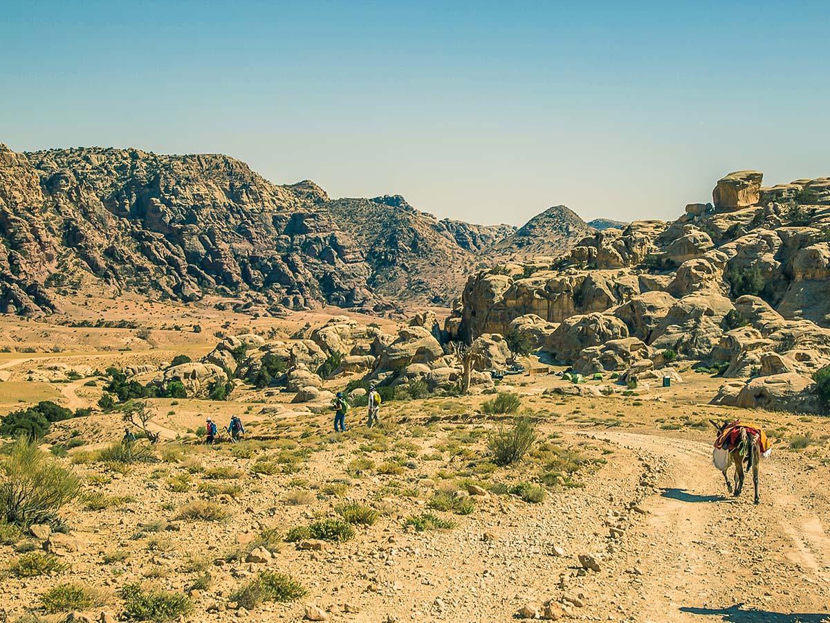 Donkey carrying bags on Dana to Petra Trekking Tour in Jordan